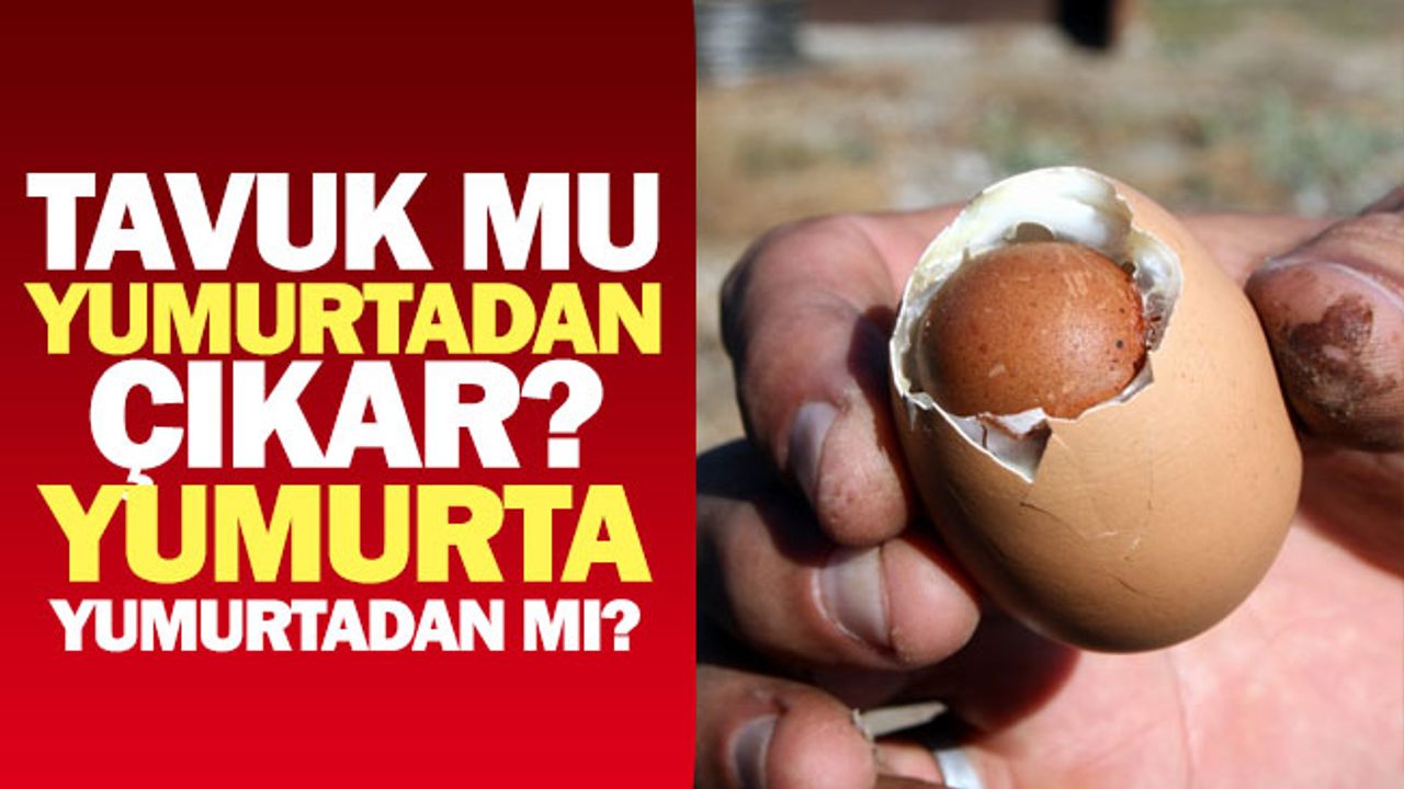 Tavuk mu Yumurtadan Çıkar? Yumurta Yumurtadan mı?