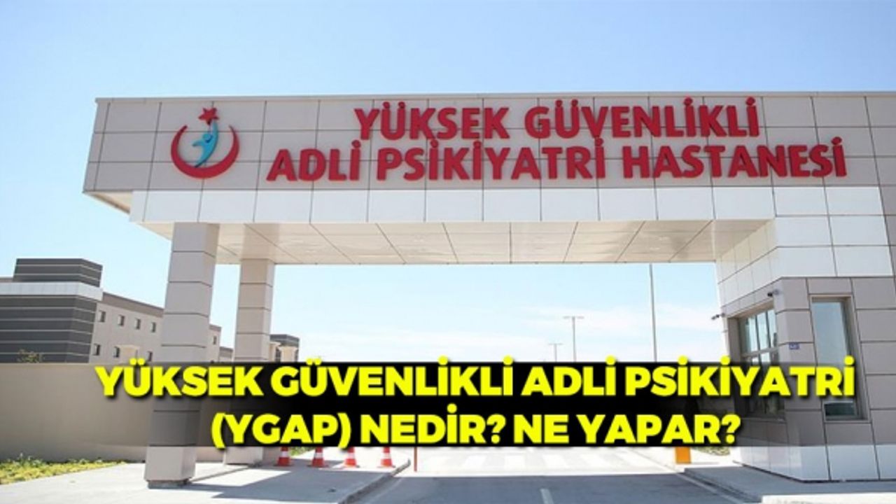 Yüksek Güvenlikli Adli Psikiyatri (YGAP) Nedir? Ne Yapar?
