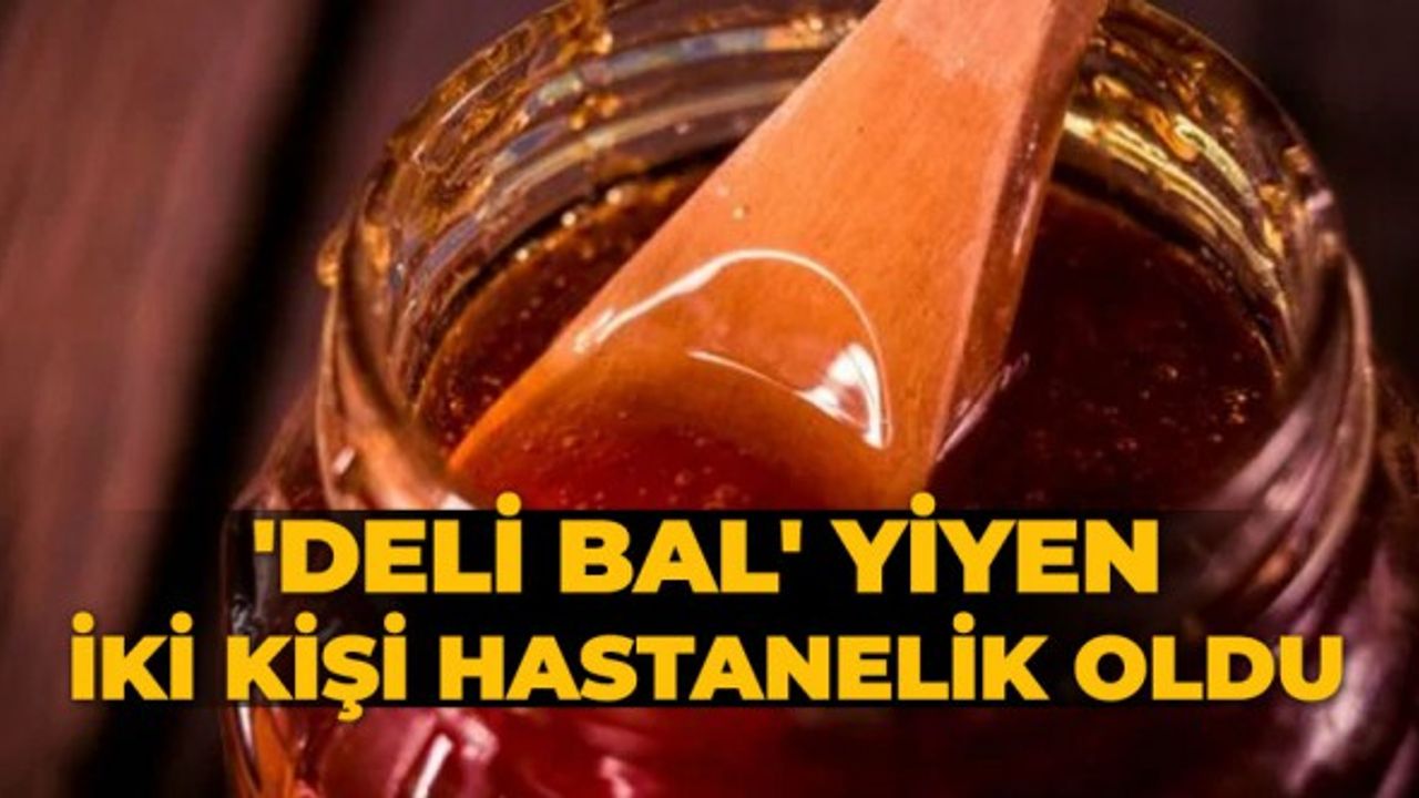 'Deli bal' yiyen iki kişi hastanelik oldu