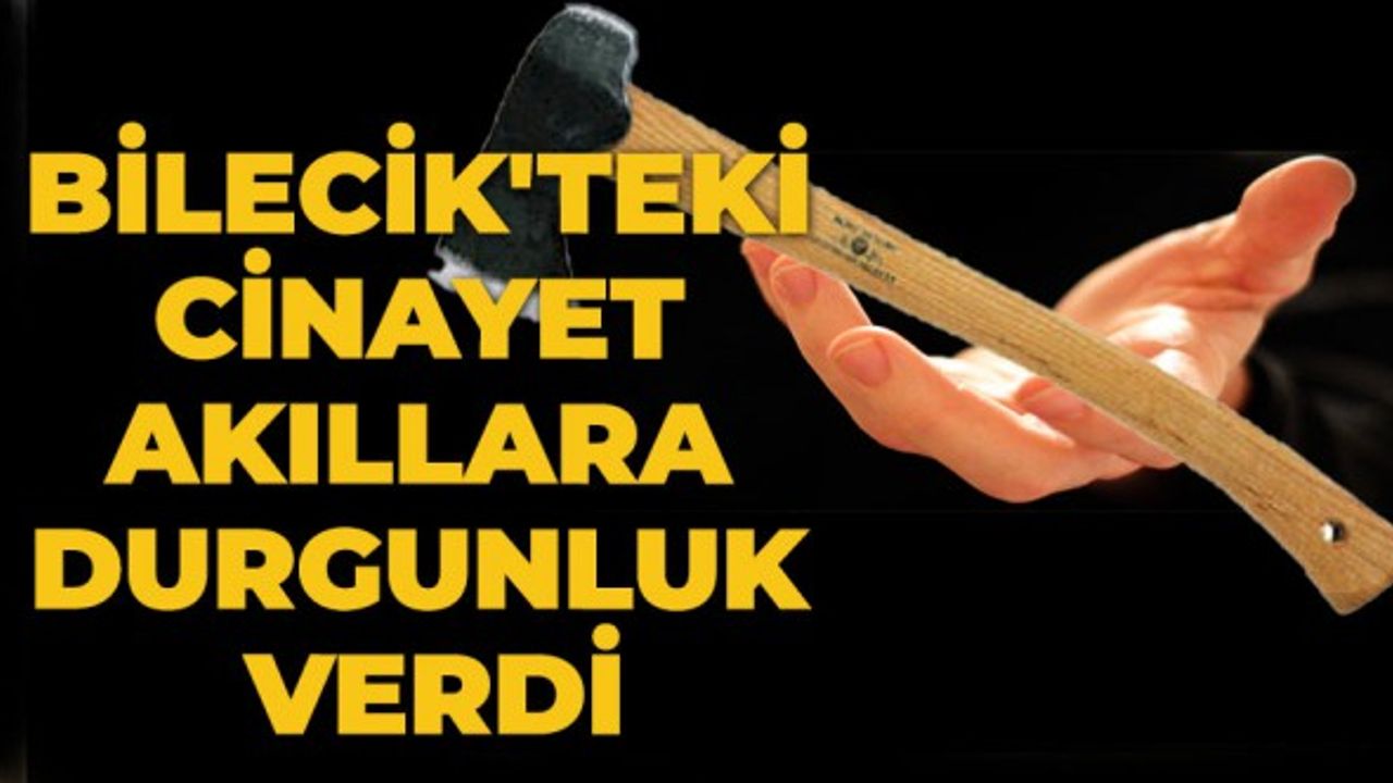 Bilecik'teki cinayet akıllara durgunluk verdi