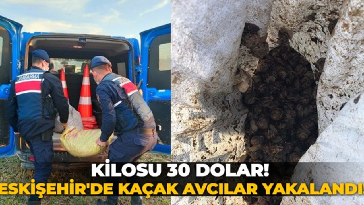 Kilosu 30 dolar! Eskişehir'de kaçak avcılar yakalandı!