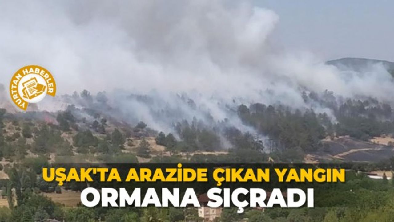 Uşak'ta arazide çıkan yangın, ormana sıçradı