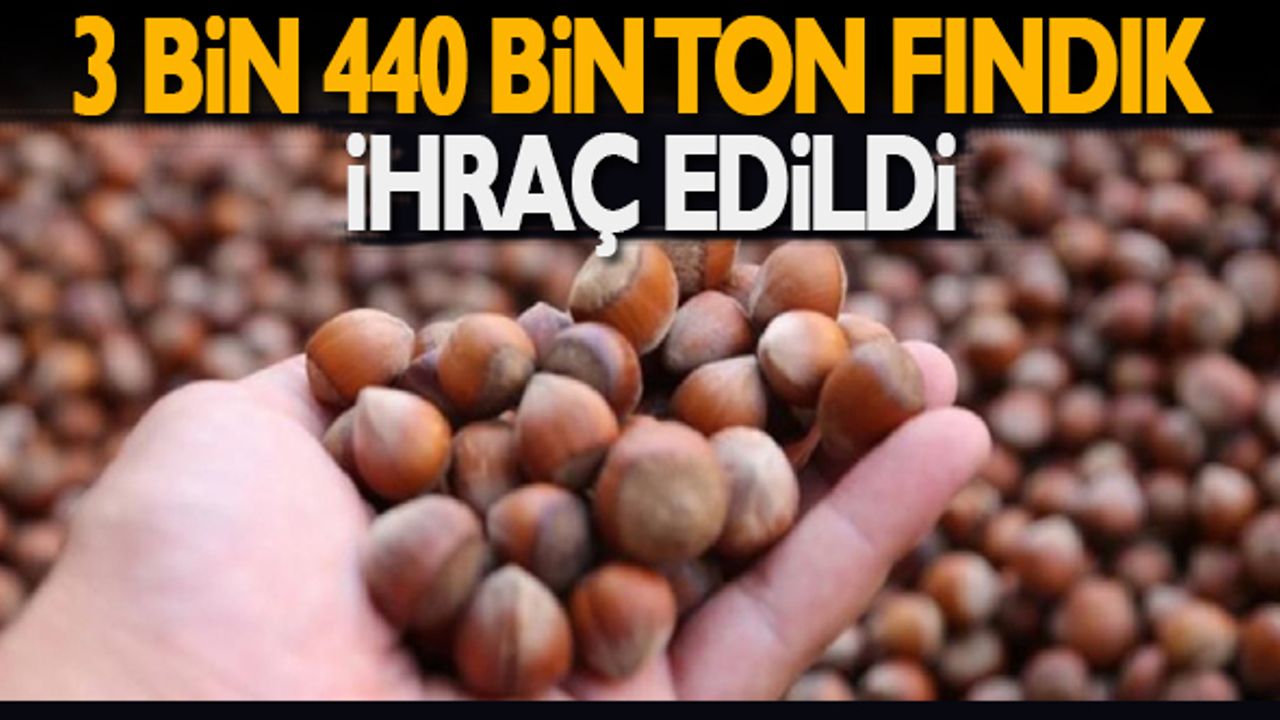 3 bin 440 bin ton fındık ihraç edildi