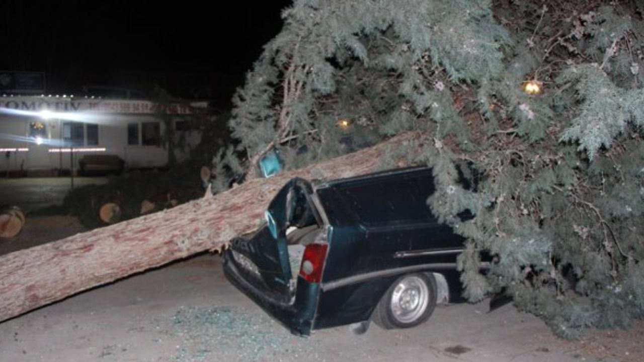Amasya’da fırtınanın söktüğü ağaç, minibüsün üstüne devrildi