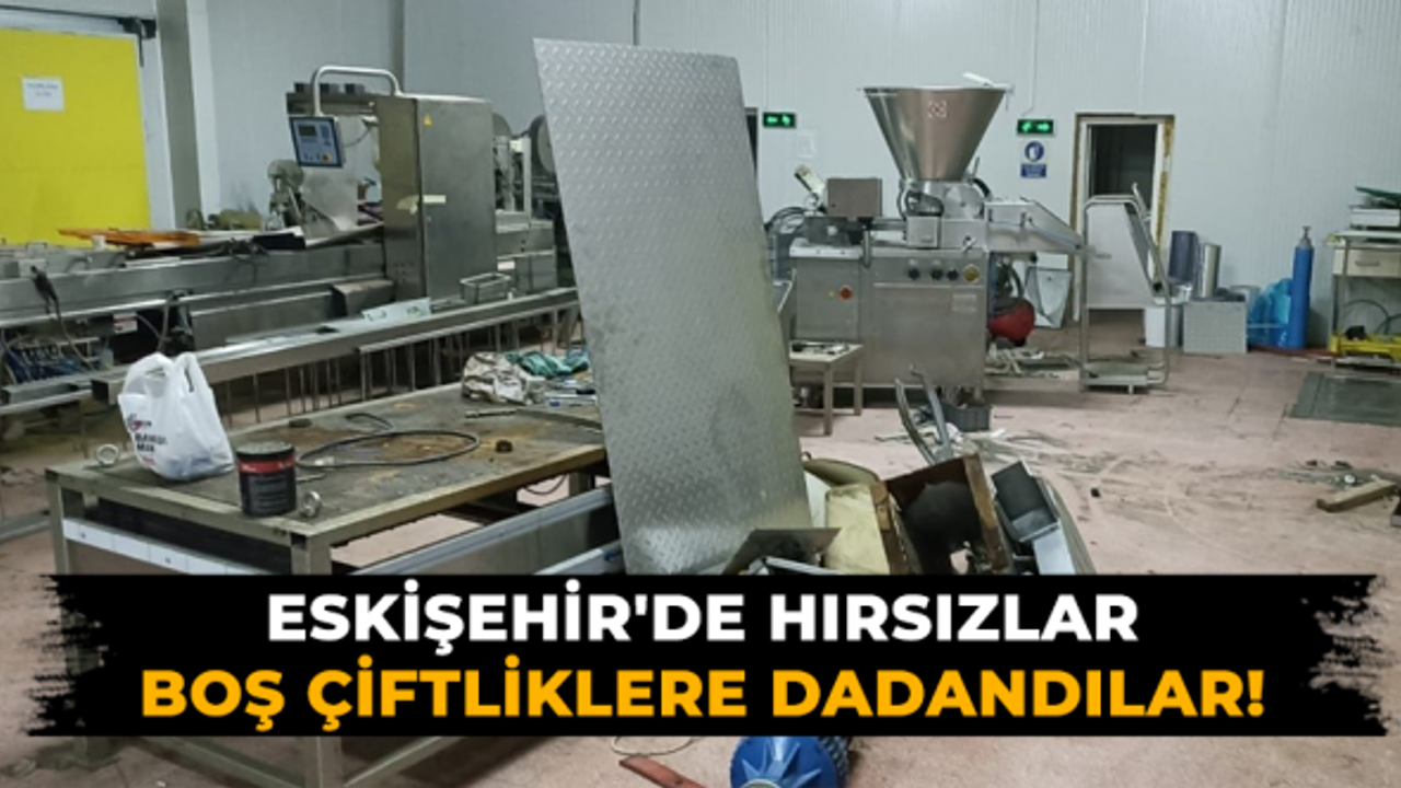 Eskişehir'de hırsızlar boş çiftliklere dadandılar!