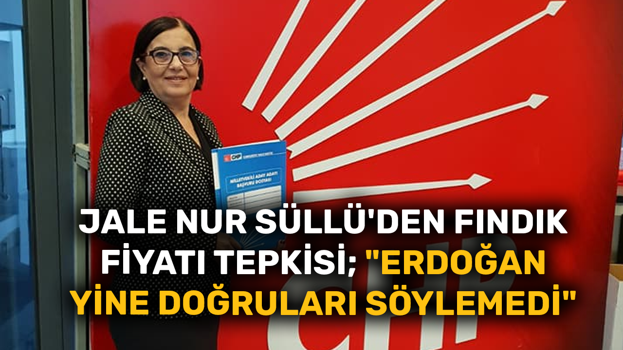 Jale Nur Süllü'den fındık fiyatı tepkisi; "Erdoğan yine doğruları söylemedi"