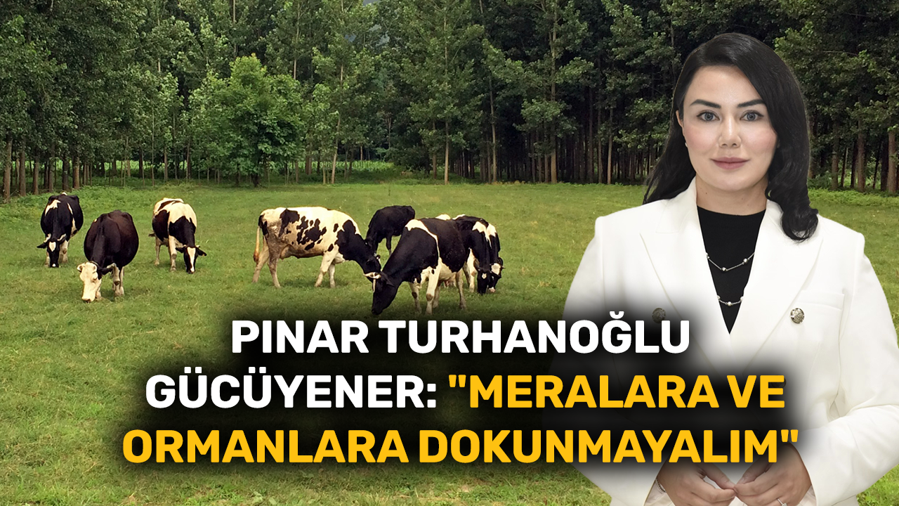 Pınar Turhanoğlu Gücüyener: "Meralara ve ormanlara dokunmayalım"