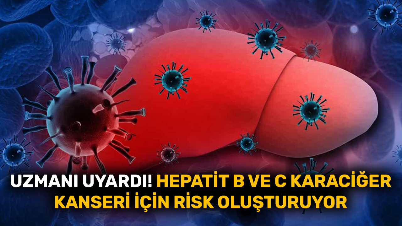Hepatit B ve C karaciğer kanseri için risk oluşturuyor