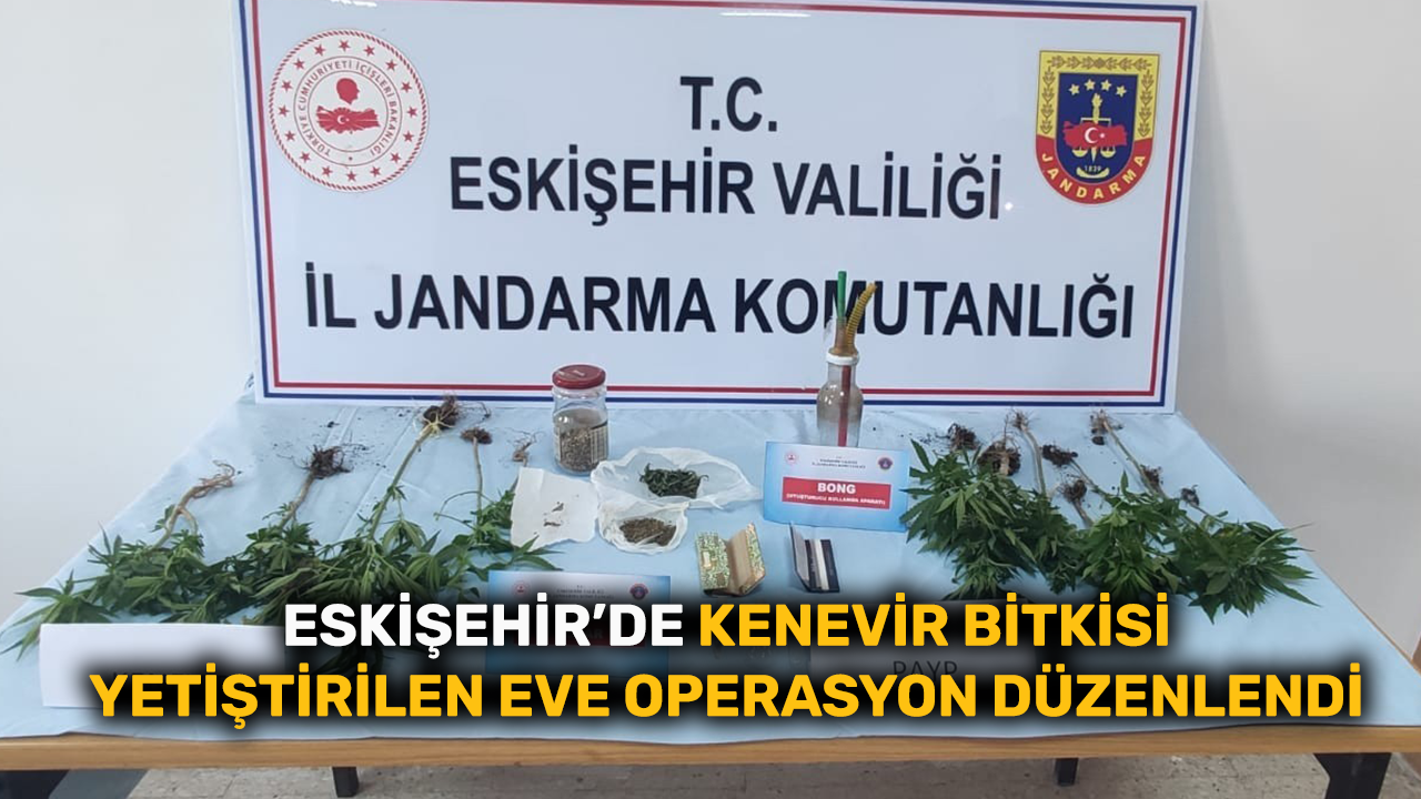 Eskişehir'de kenevir bitkisi yetiştirilen eve operasyon düzenlendi