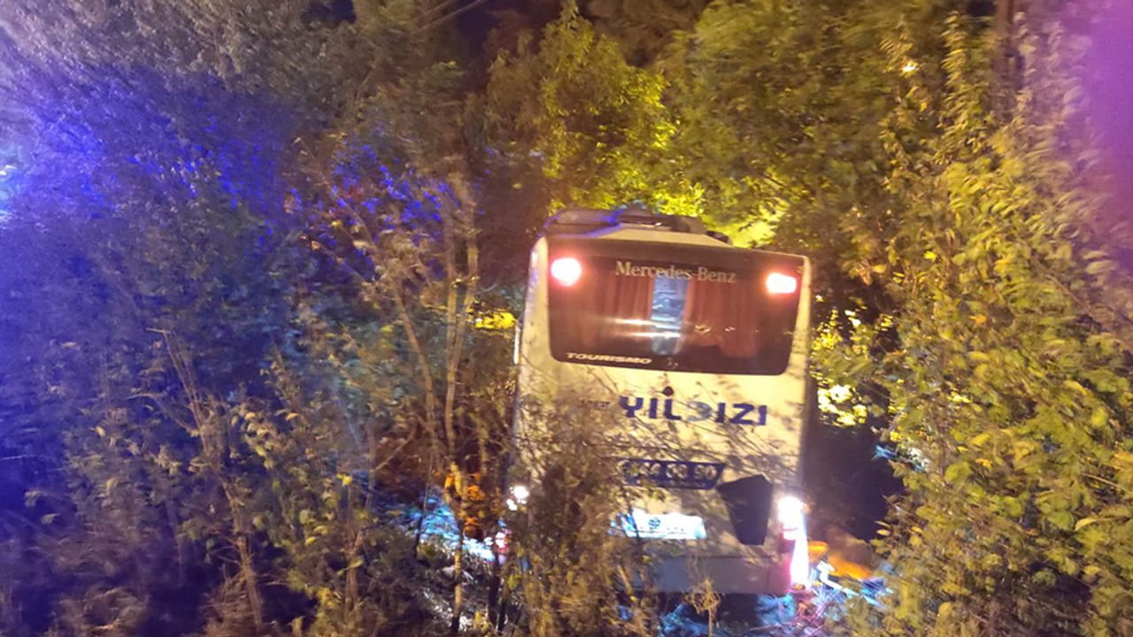 Yolcu otobüsü ağaçlara çarparak durabildi!