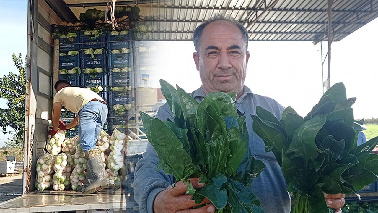Çiftçi Adnan Özdemir; "İş var, çalışan işçi yok"