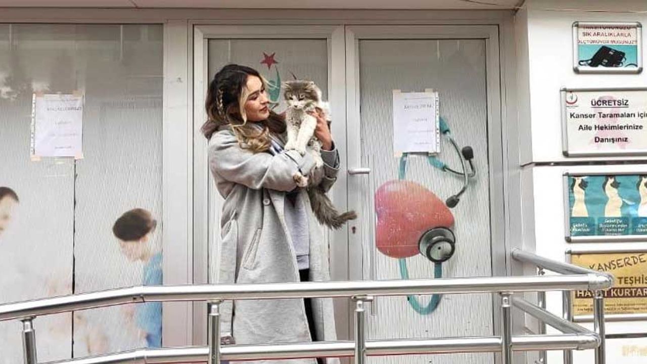 Eskişehir'de sevimli kedi aile sağlığı merkezinin maskotu oldu