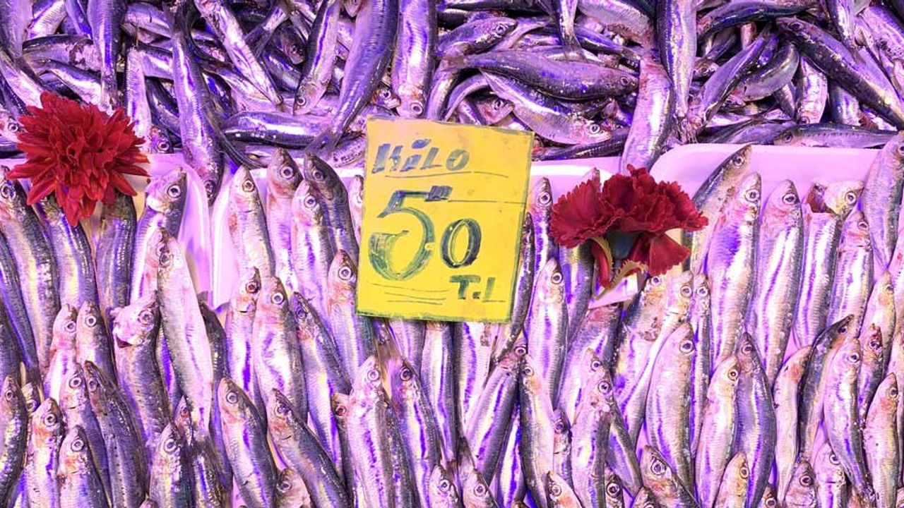 Eskişehir'de 50 liradan ucuza balık yok!