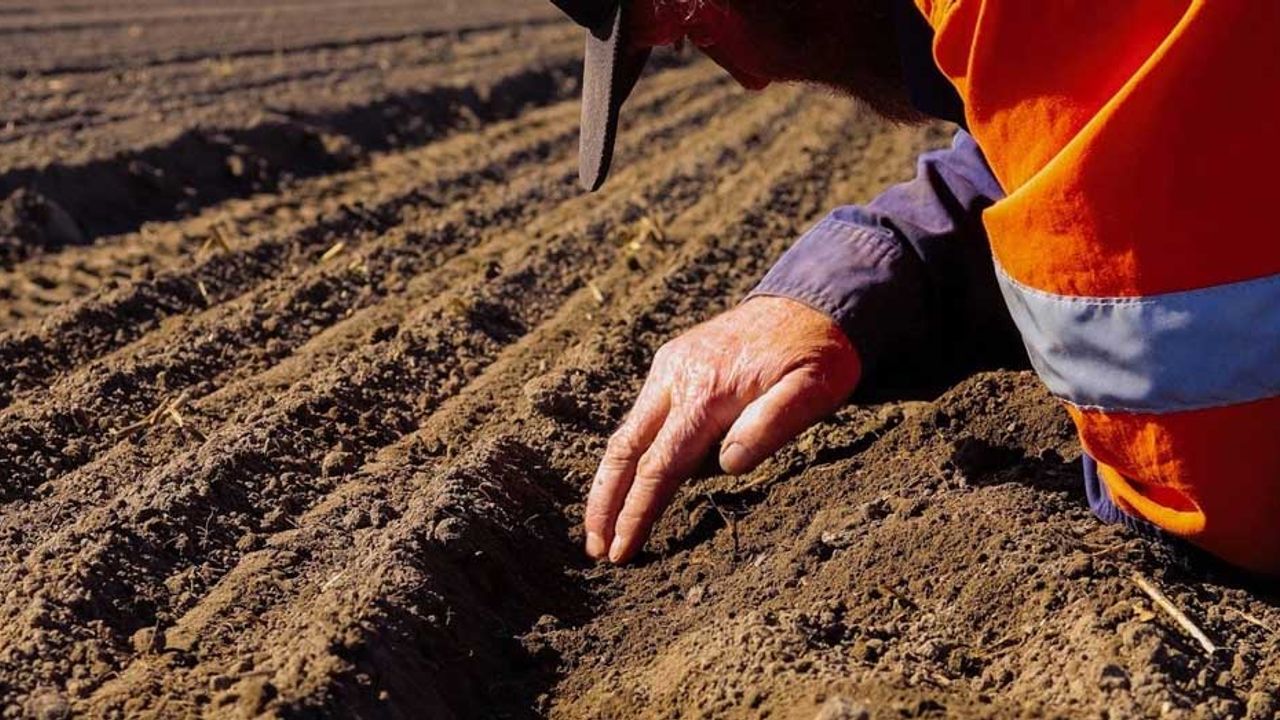 Eskişehir'de çiftçilere yüzde 50 hibeli tohum desteği