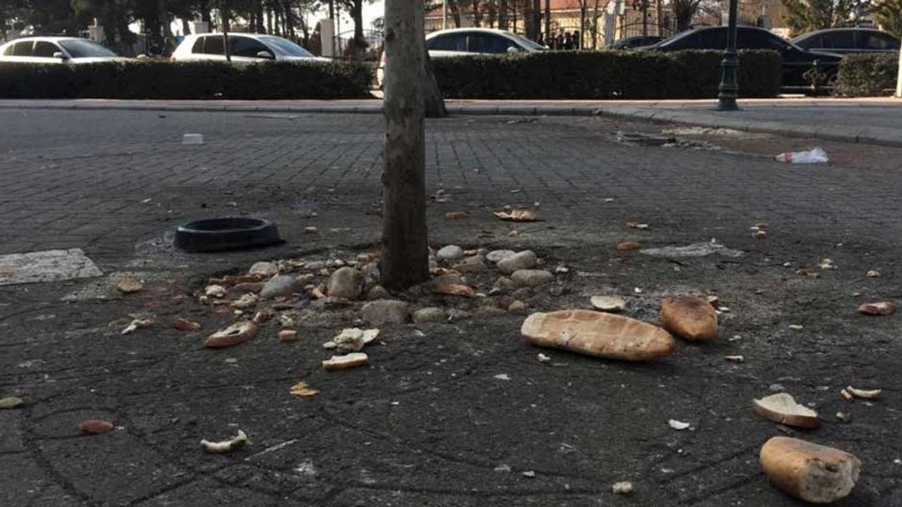 Eskişehir'de sokaklara bırakılan ekmek parçaları hoş karşılanmıyor!