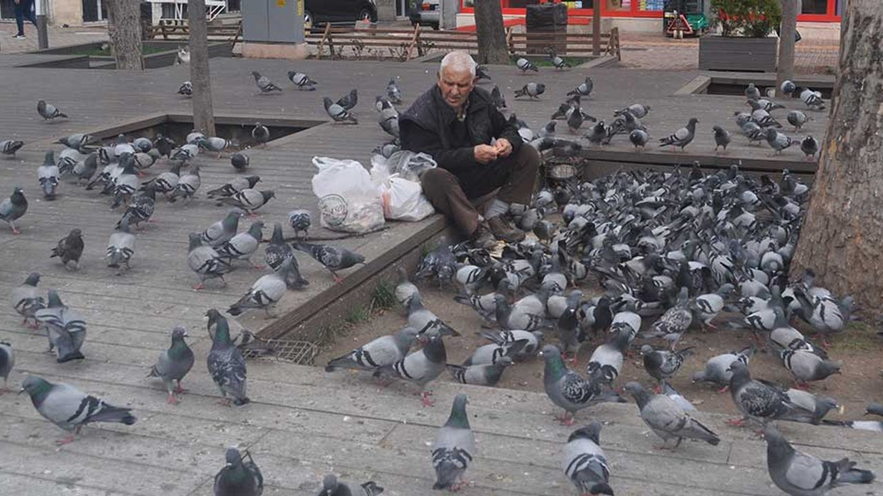 Eskişehir'deki güvercinler 15 yıldır her gün onun yolunu gözlüyor!