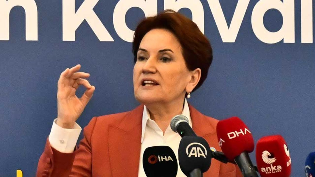Meral Akşener: "Eskişehir’de PKK’lı ilan ediliyorum, Kardeşim şizofren misiniz nesiniz?"