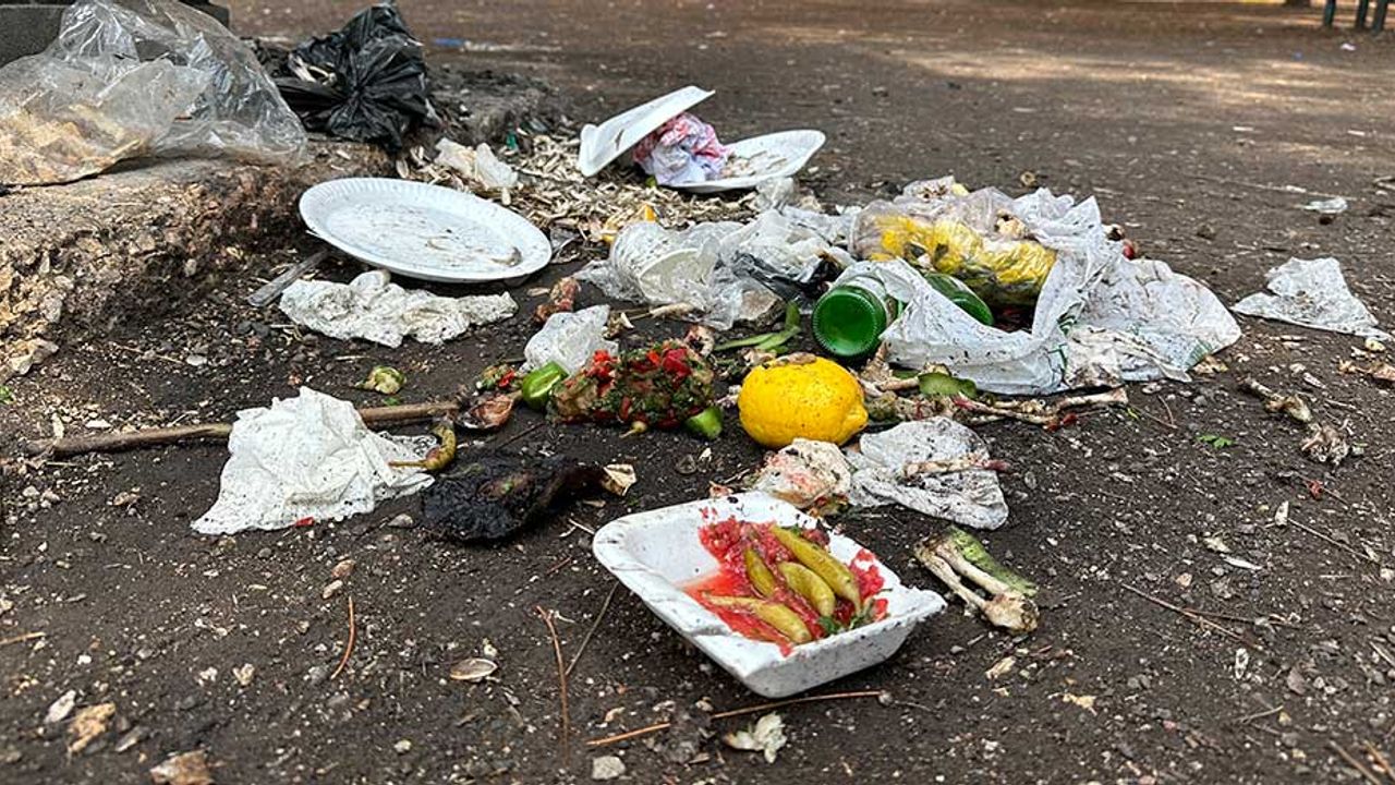 Eskişehir'de çöplerini toplamadan giden piknikçiler pes dedirtti!