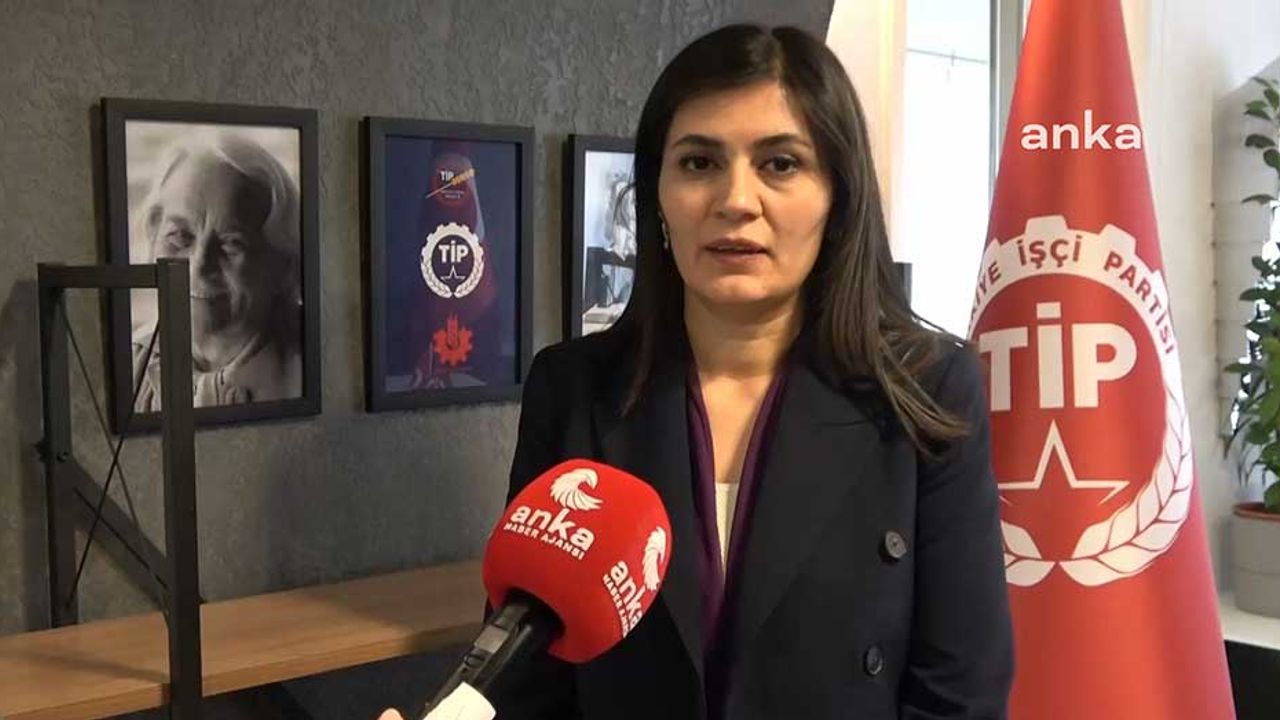 TİP'li Milletvekili adayı Yelda Koçak: "Kadınlar kadınların daha çok olduğu listelere oy versin"