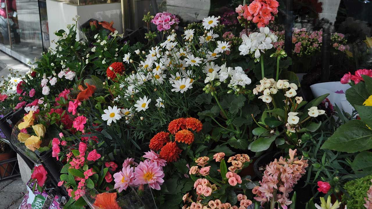Eskişehir'de çiçekçiler önümüzdeki pazar gününden umutlu!