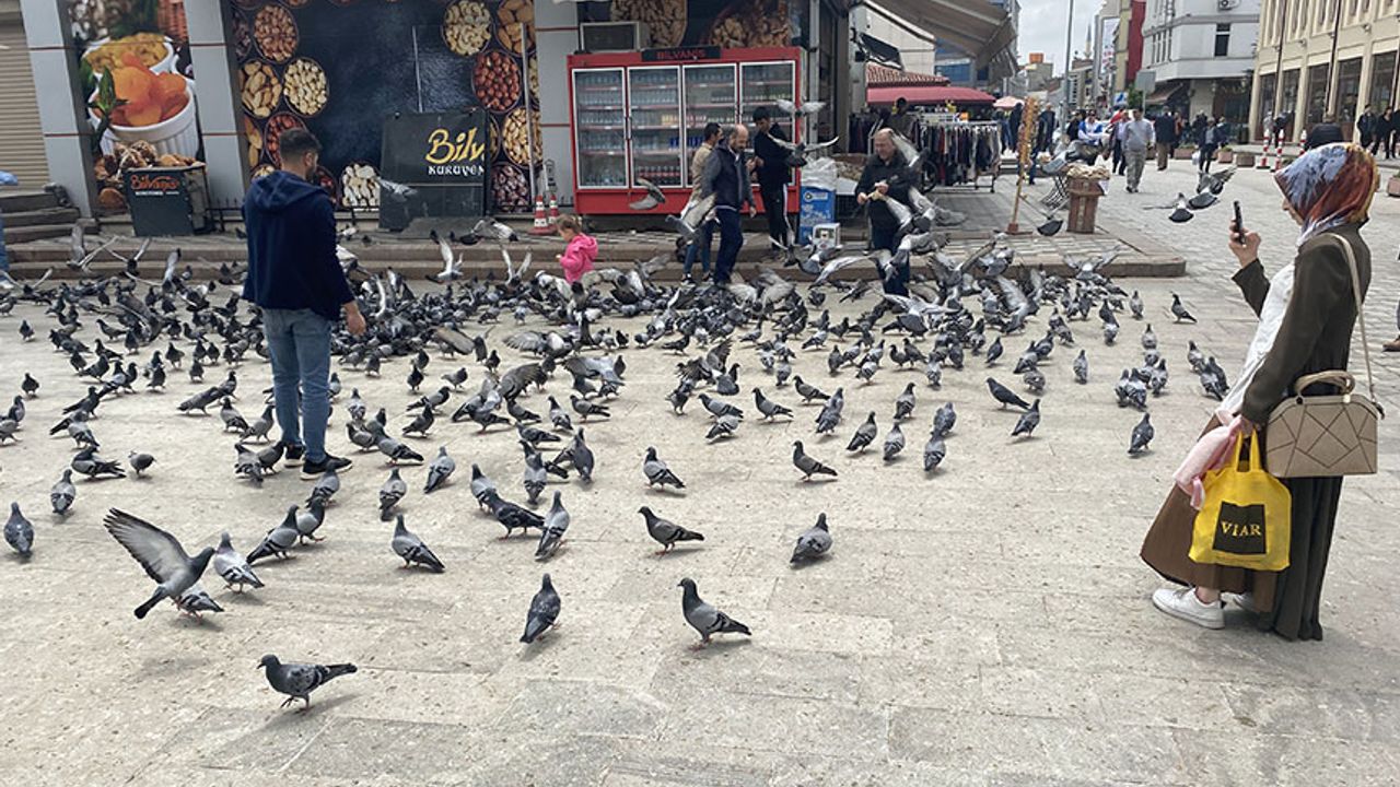 Eskişehir'de güvercinler aç bırakılmıyor; Çocuklar hayvan sevgisi ile büyüyor!
