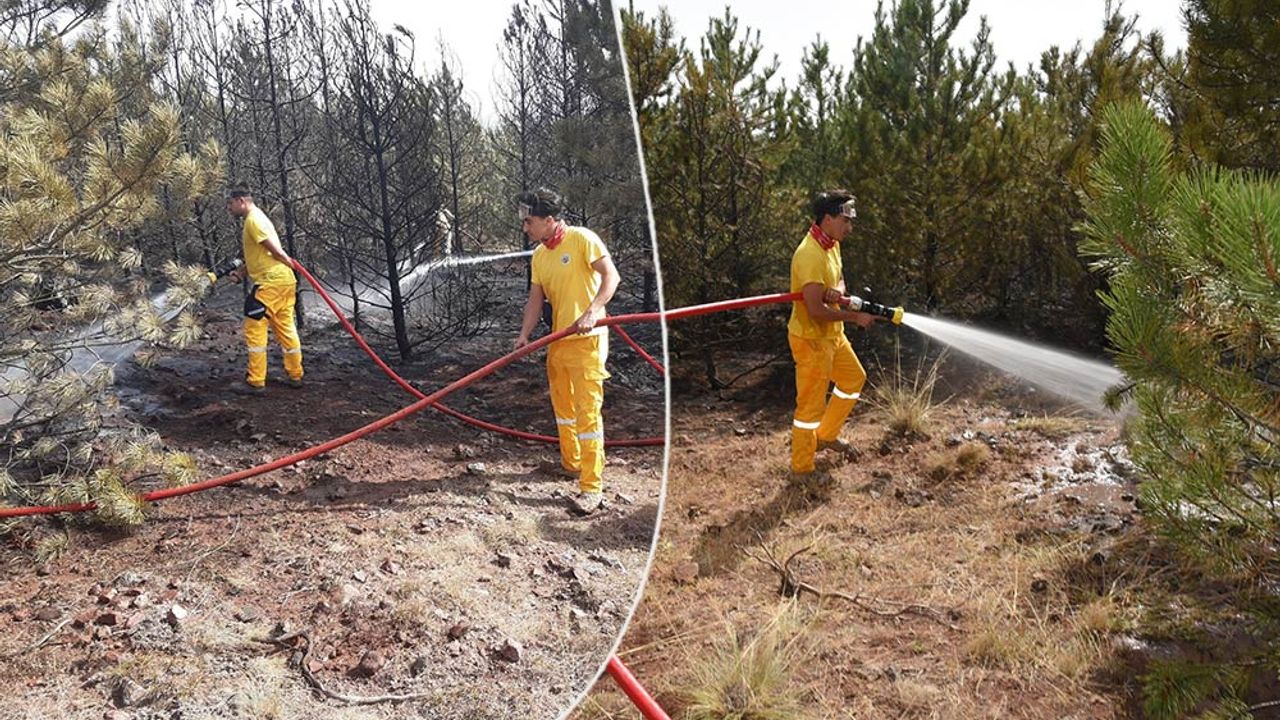 Eskişehir’de orman yangını; 20 yıllık ağaçlar zarar gördü!