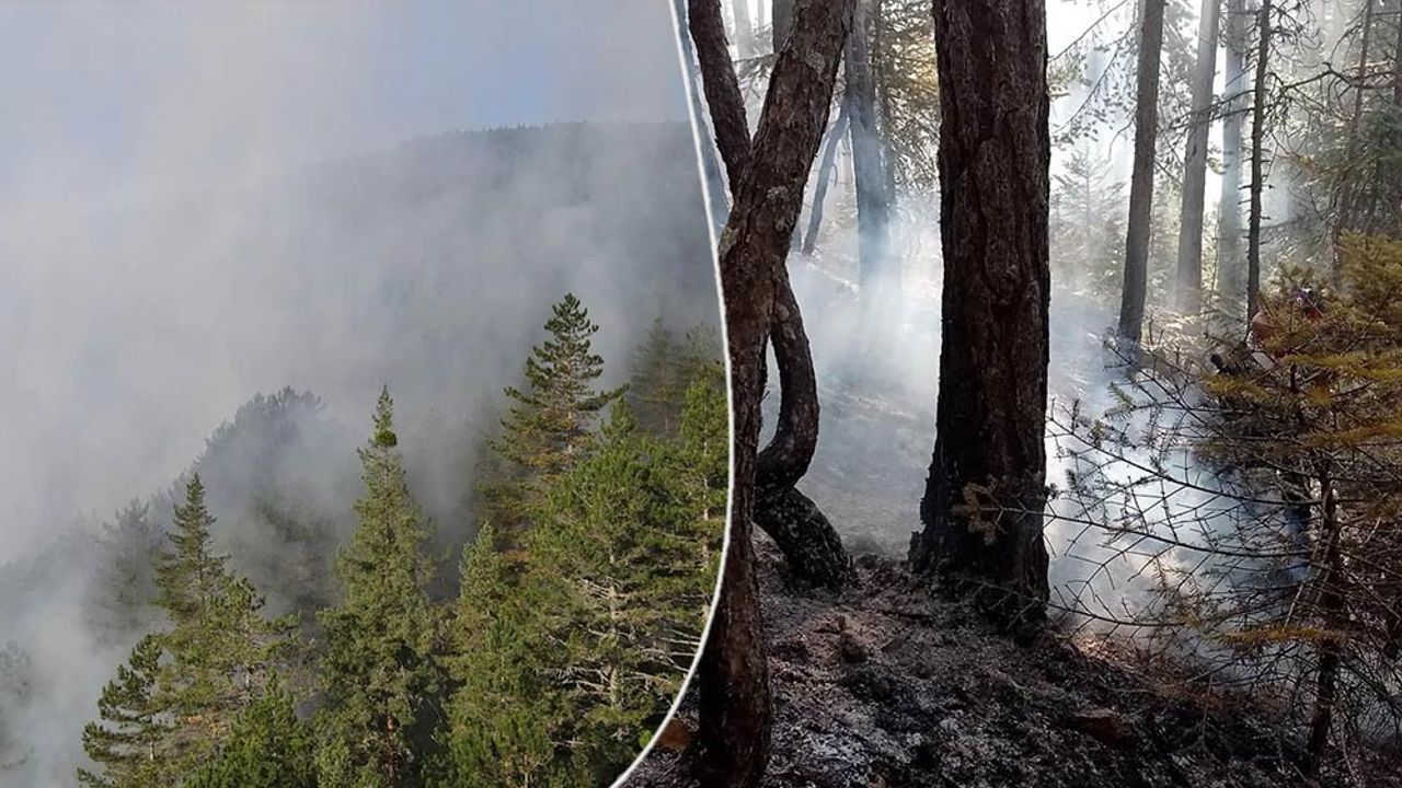 Bilecik’te orman yangını; Havadan ve karadan müdahale edildi!