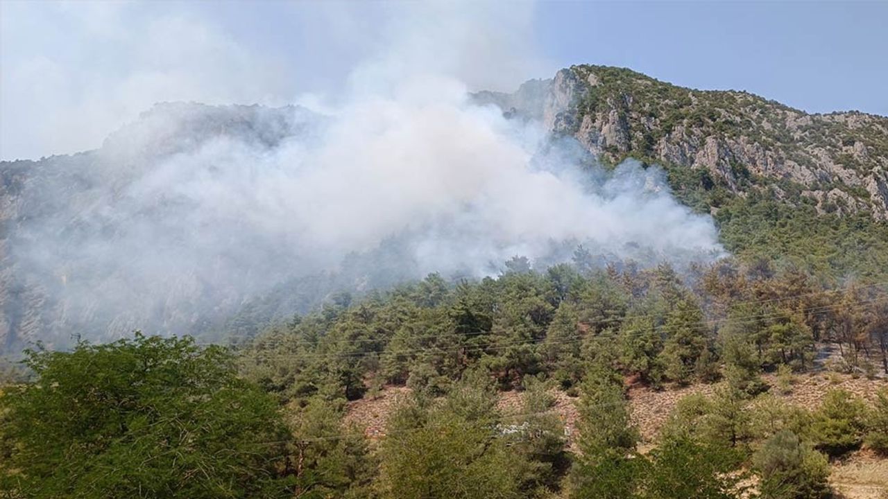 Bir ilde daha orman yangını; Eskişehir’deki ekipler oraya yönlendirildi!