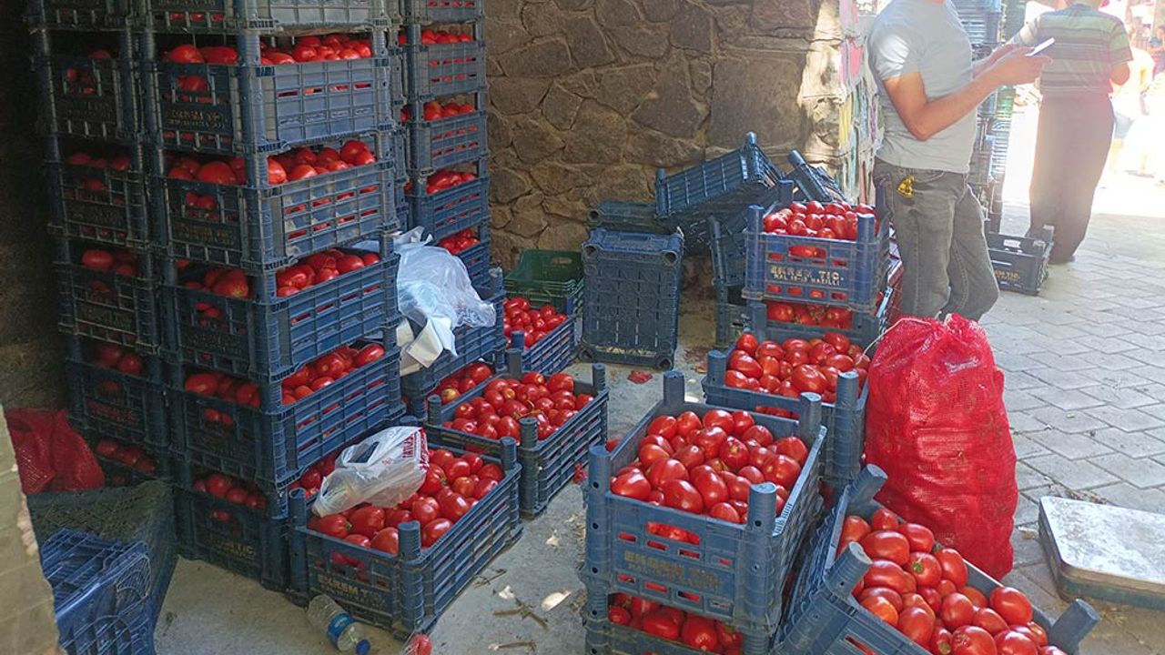 Pazarcı esnafından domates uyarısı; İşte o zaman 40-50 lira olur!