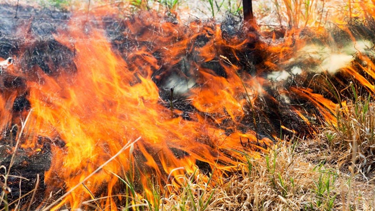 Eskişehir'de çiftçilerin başlattığı yangın kontrolden çıktı!