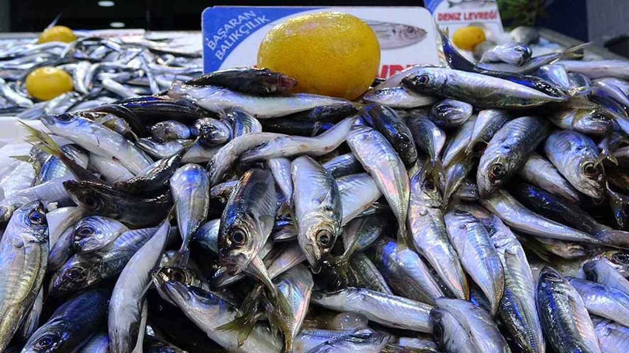 Balık severleri üzecek haber geldi; Fiyatlar katlanıyor!