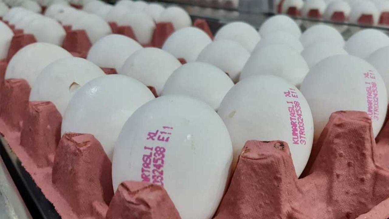 Yumurta üreticileri tepkili; Sorun bizden kaynaklı değil!