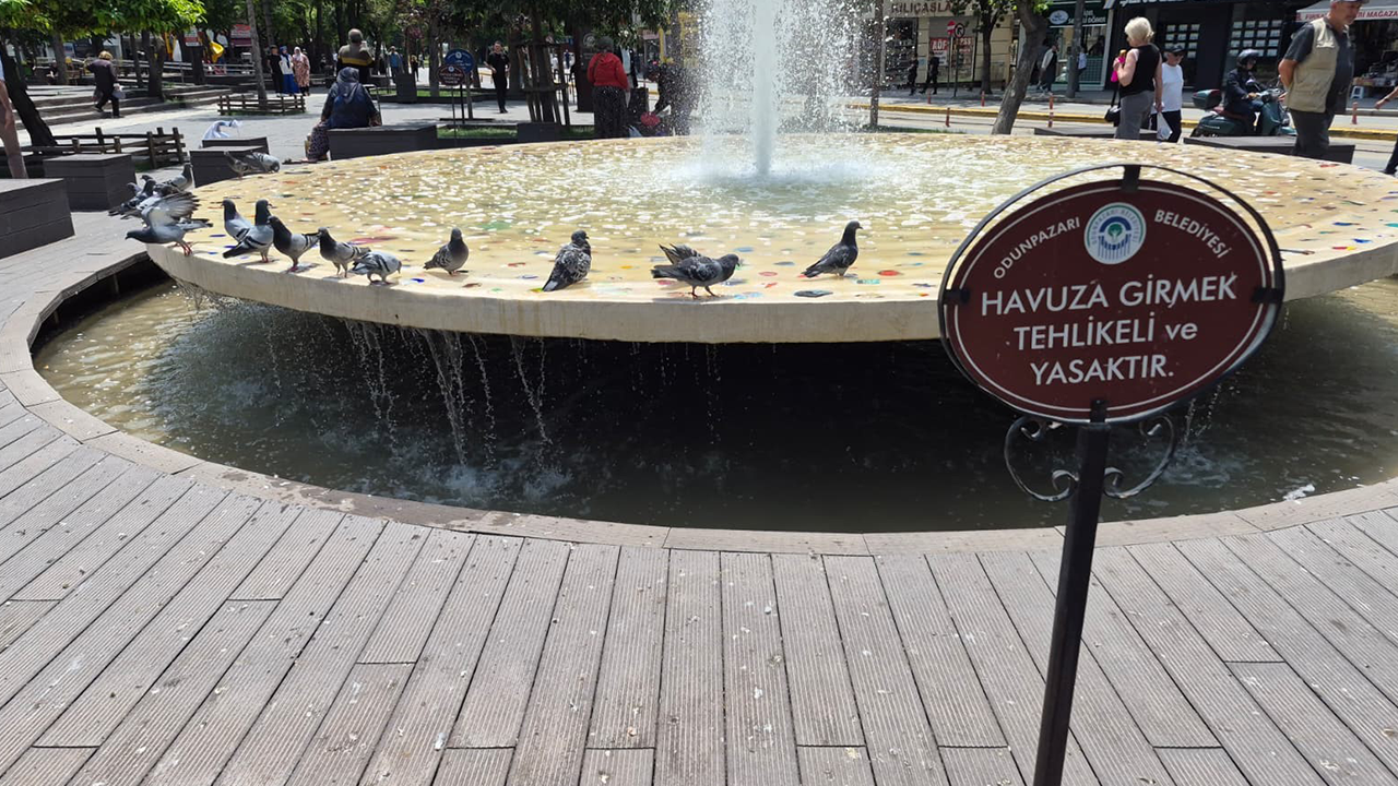 Eskişehir’de Güvercinlerin Havuz Keyfi Görenleri Gülümsetti!