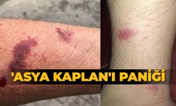 'Asya Kaplan'ı paniği