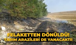 Felaketten dönüldü! Tarım arazileri de yanacaktı!