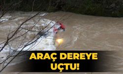Araç dereye uçtu!