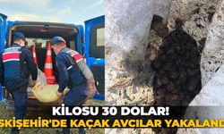 Kilosu 30 dolar! Eskişehir'de kaçak avcılar yakalandı!