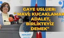 Gaye Usluer: " Mavi; kucaklamak, adalet, birlikteyiz demek"