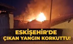 Eskişehir'de çıkan yangın korkuttu!