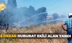 Hisarcık’ta 5 dekar hububat ekili alan yandı