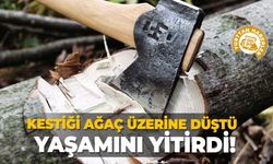 Kestiği ağaç üzerine düştü, yaşamını yitirdi