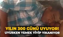 Yılın 300 günü uyuyor! uyurken yemek yiyip yıkanıyor