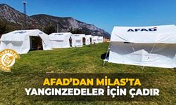 AFAD’dan Milas’ta yangınzedeler için çadır