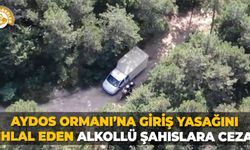 Aydos Ormanı’na giriş yasağını ihlal eden alkollü şahıslara ceza