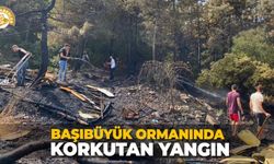 Başıbüyük Ormanında korkutan yangın