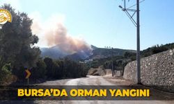 Bursa’da orman yangını