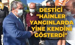 Destici: "Hainler yangınlarda yine kendini gösterdi"