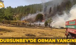 Dursunbey’de orman yangını