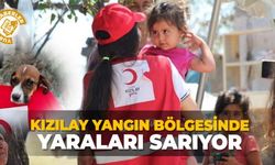 Kızılay yangın bölgesinde yaraları sarıyor