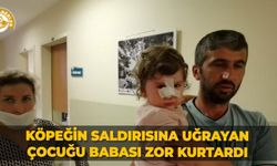 Köpeğin saldırısına uğrayan çocuğu babası zor kurtardı